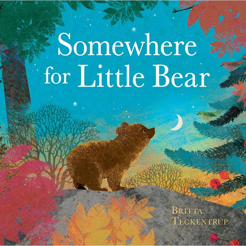 Somewhere for Little Bear Hardcover