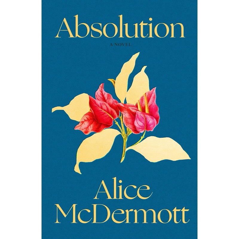 Absolution: A Novel Hardcover