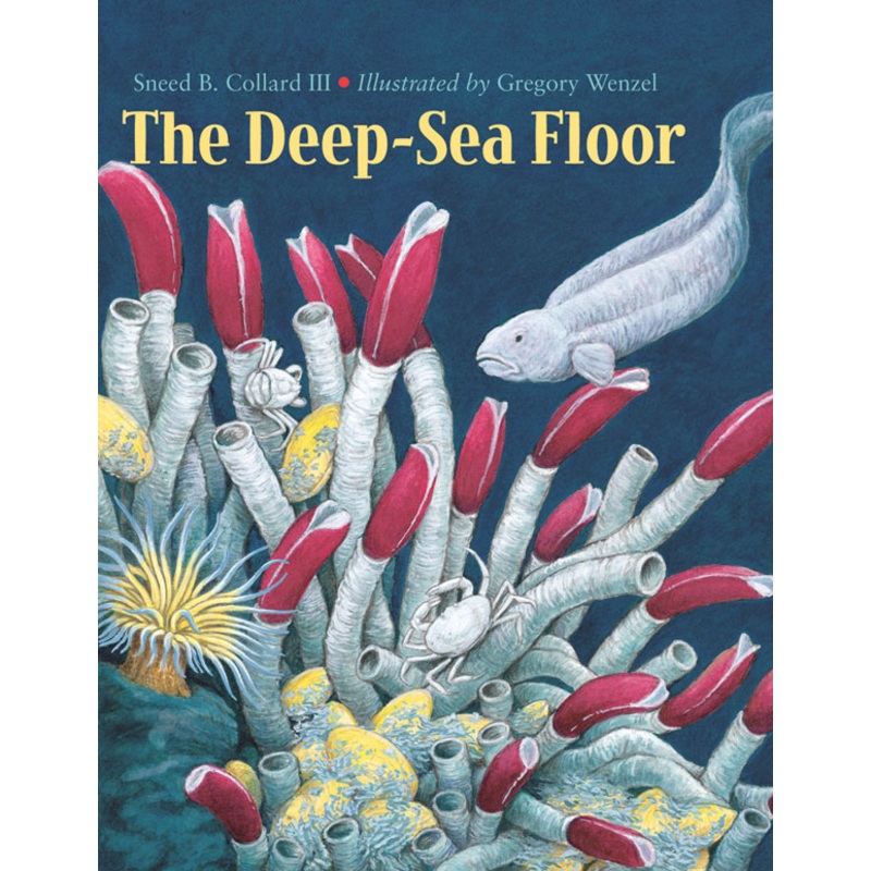 The Deep-Sea Floor