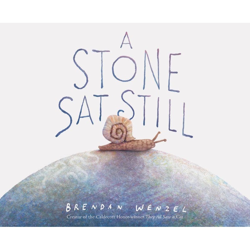 A Stone Sat Still by Brendan Wenzel