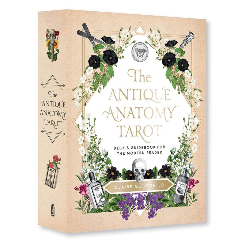 Antique Anatomy Tarot Kit: A Deck and Guidebook for the Modern Reader