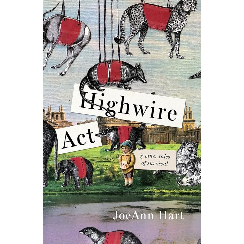 Highwire Act & Other Tales of Survival