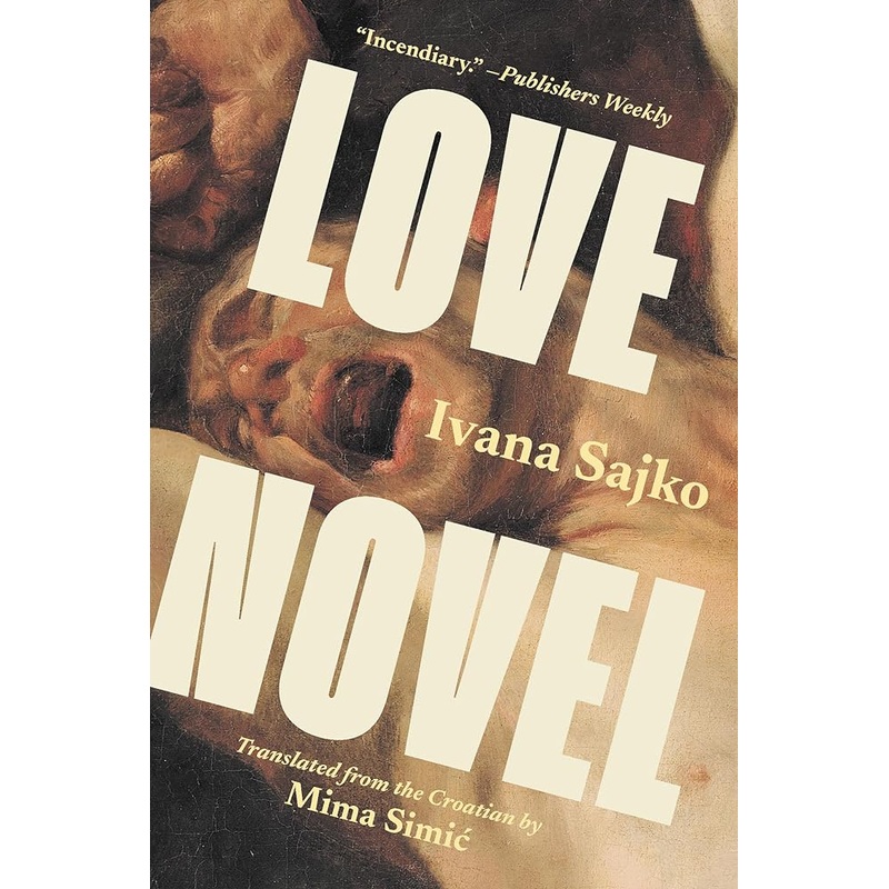 Love Novel (Biblioasis International Translation Series, 44)