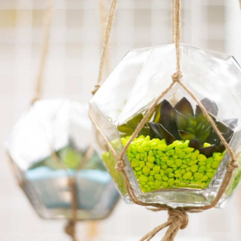 6.25″D Geometric Terrarium Bowl – Beckham Glass Vase