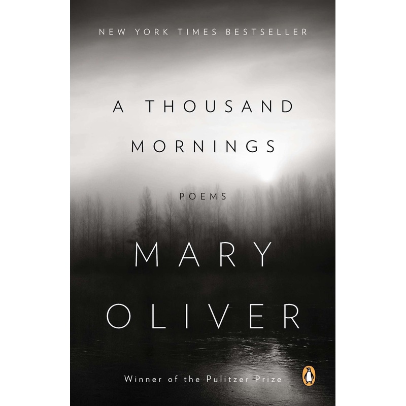 A Thousand Mornings