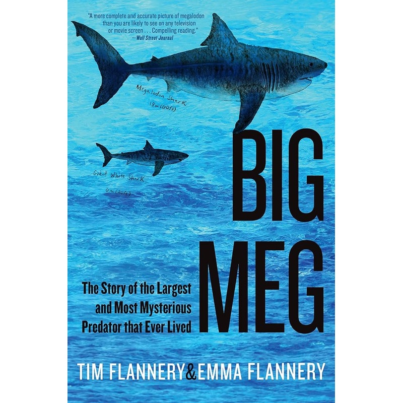 Big Meg: The Story of the Largest and Most Mysterious Predator that Ever Lived