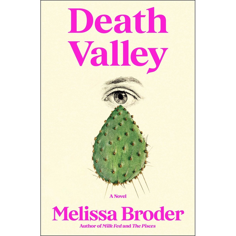 Death Valley: A Novel Hardcover