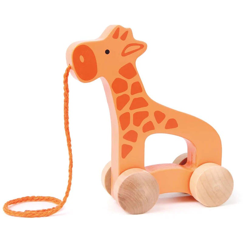 Giraffe Push/Pull Along