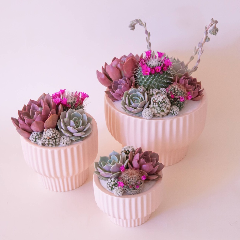 Presley Pedestal Planter | Ballerina 4.5 inch