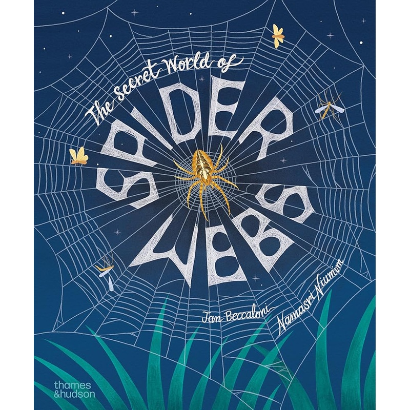 The Secret World of Spiderwebs (The Secret World, 1)