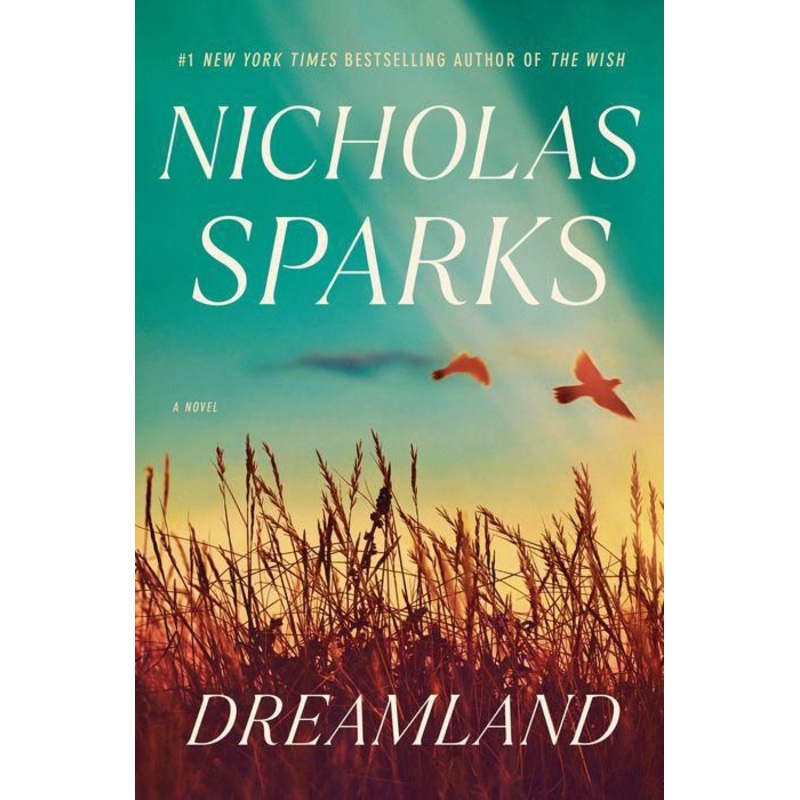 Dreamland: A Novel Hardcover