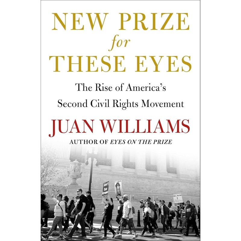 New Prize for These Eyes: The Rise of America’s Second Civil Rights Movement Hardcover