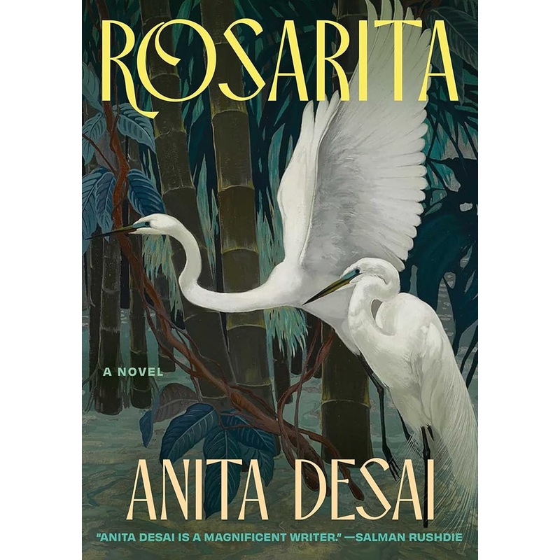 Rosarita by Anita Desai
