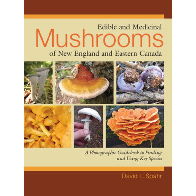 Edible & Medicinal Mushrooms of New England & Eastern Canada