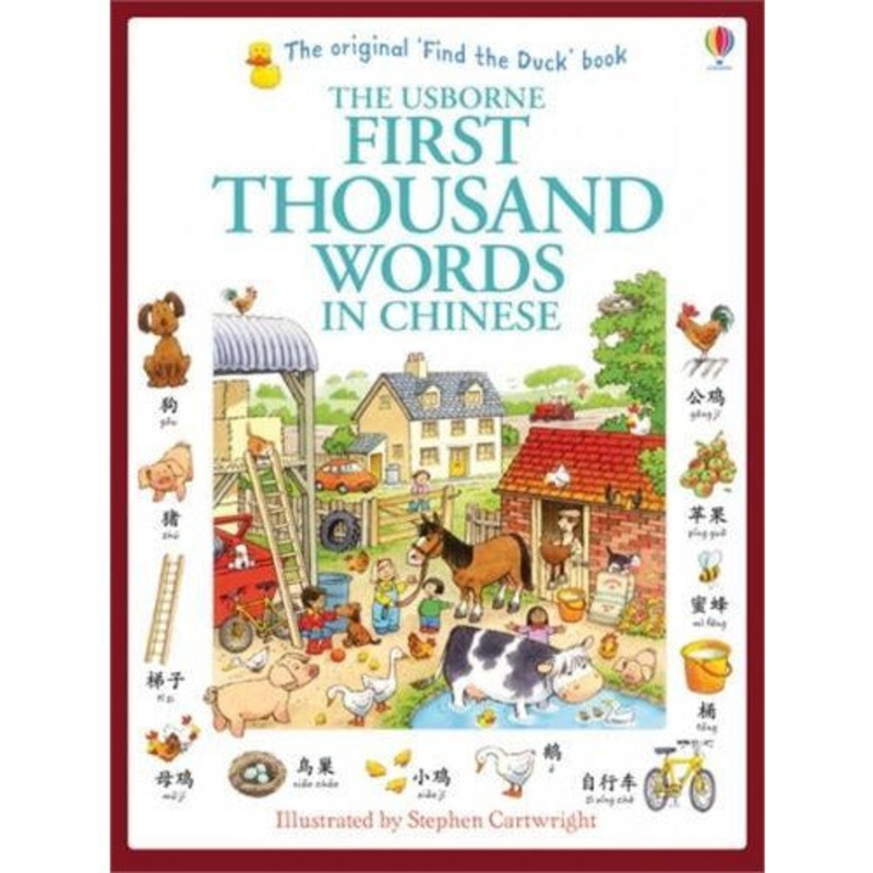 Usborne My First Thousand Words In Chinese Book New Paperback