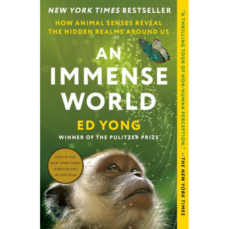 An Immense World