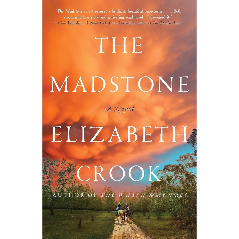 The Madstone: A Novel Hardcover