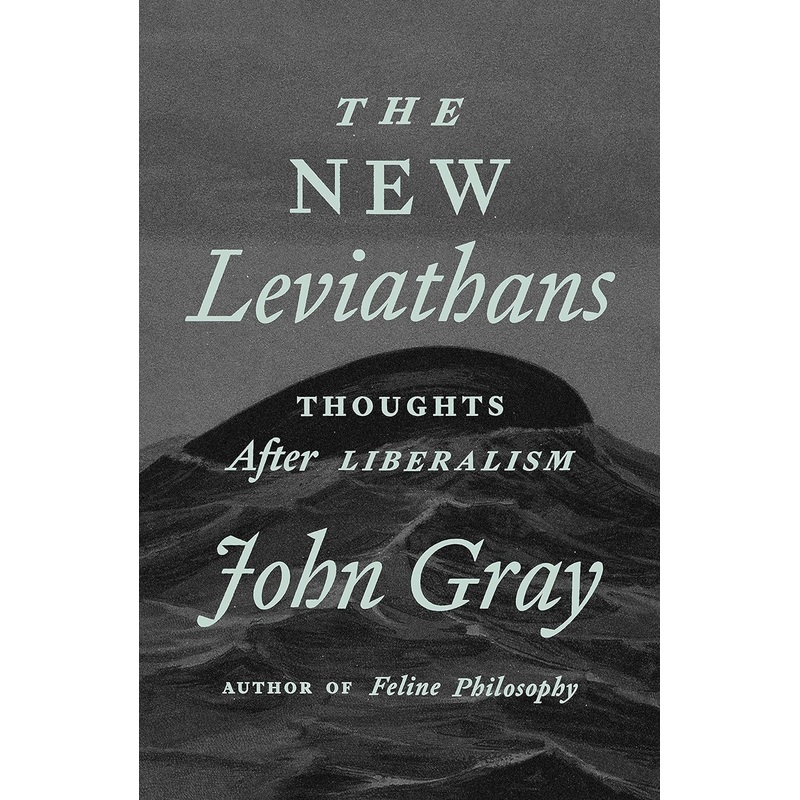 The New Leviathans: Thoughts After Liberalism Hardcover