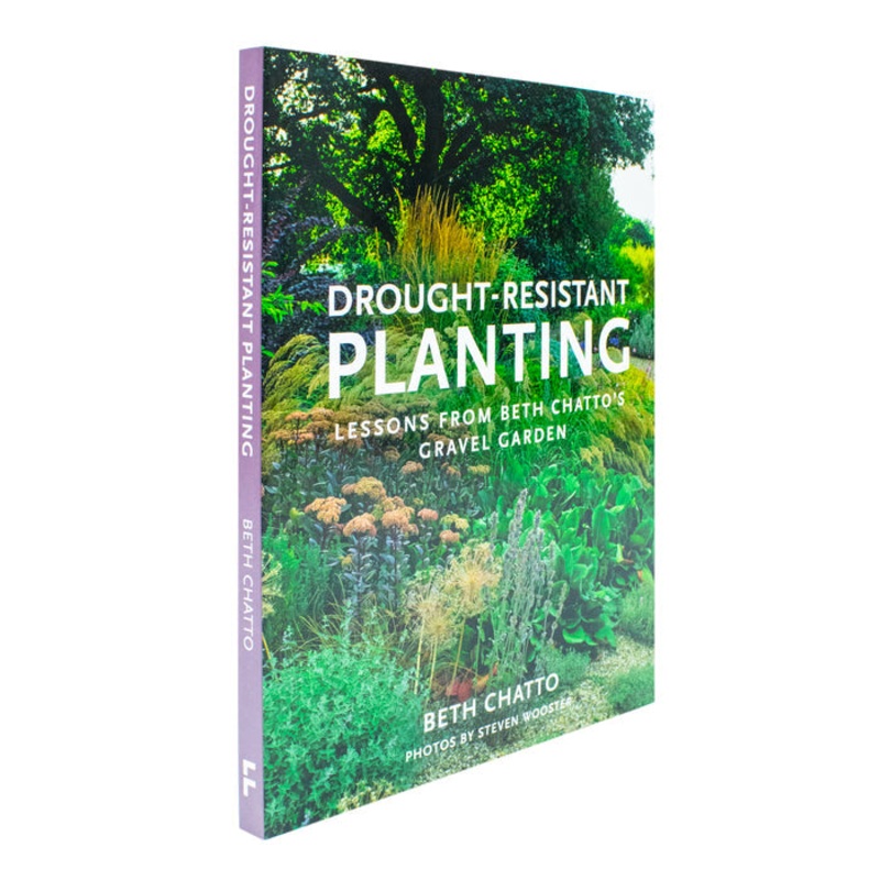 Drought-Resistant Planting: Lessons from Beth Chatto’s Gravel Garden