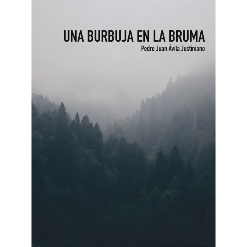 Una burbuja en la bruma