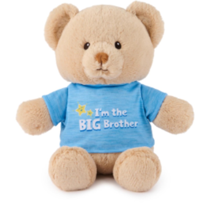 I’m the Big Brother Bear