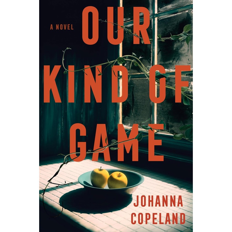 Our Kind of Game: A Novel Hardcover