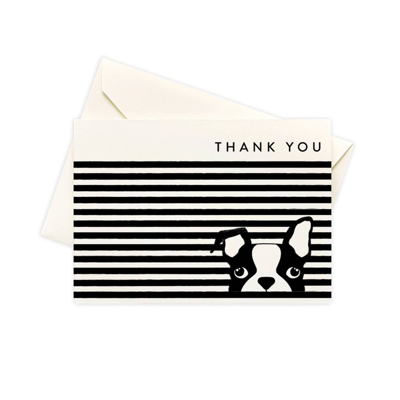 Seltzer Goods – Dog Stripe Boxed Notes