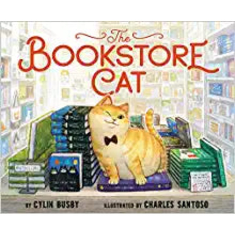 The Bookstore Cat