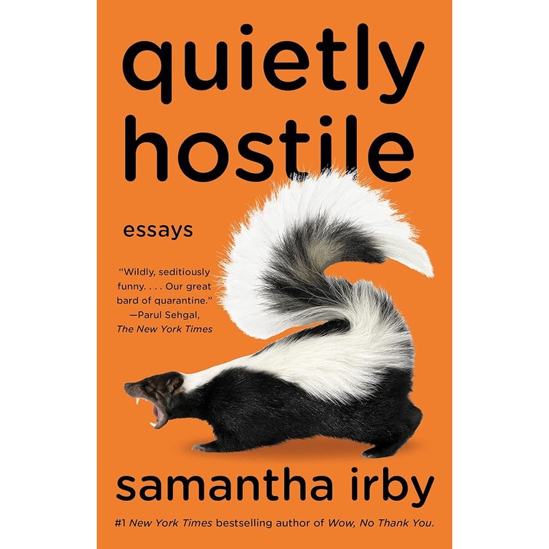 Quietly Hostile: Essays