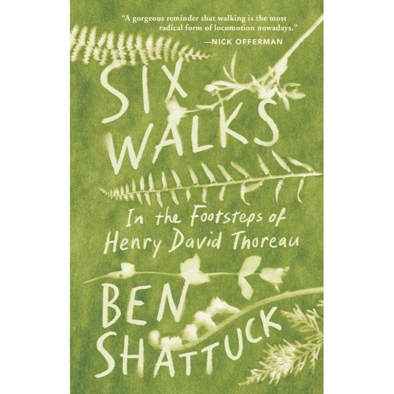 Six Walks: In the Footsteps of Henry David Thoreau Hardcover