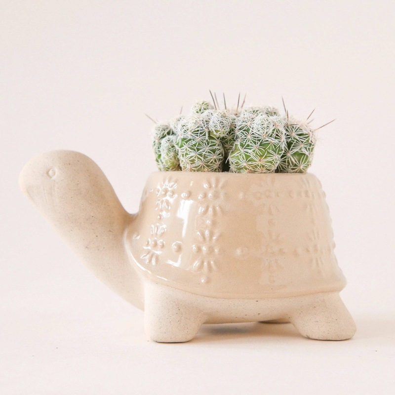 Turtle Planter | Sand Small