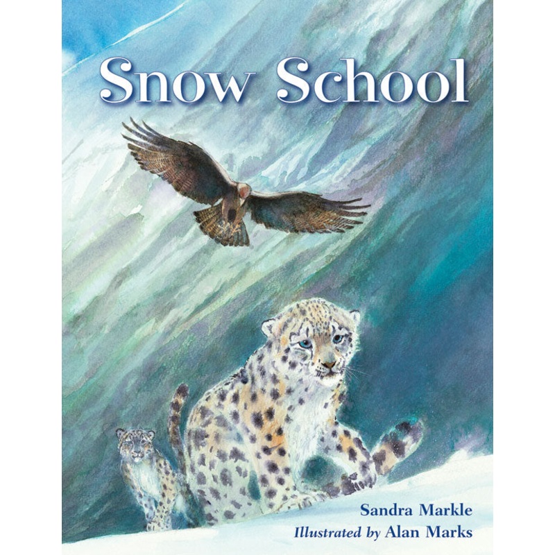 Snow School