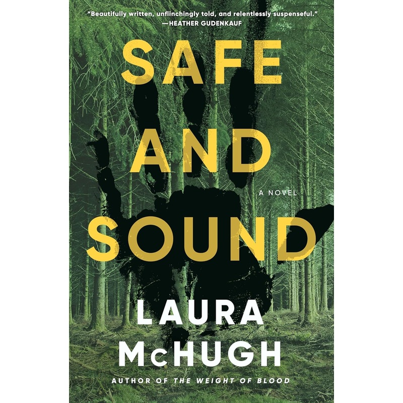 Safe and Sound: A Novel Hardcover