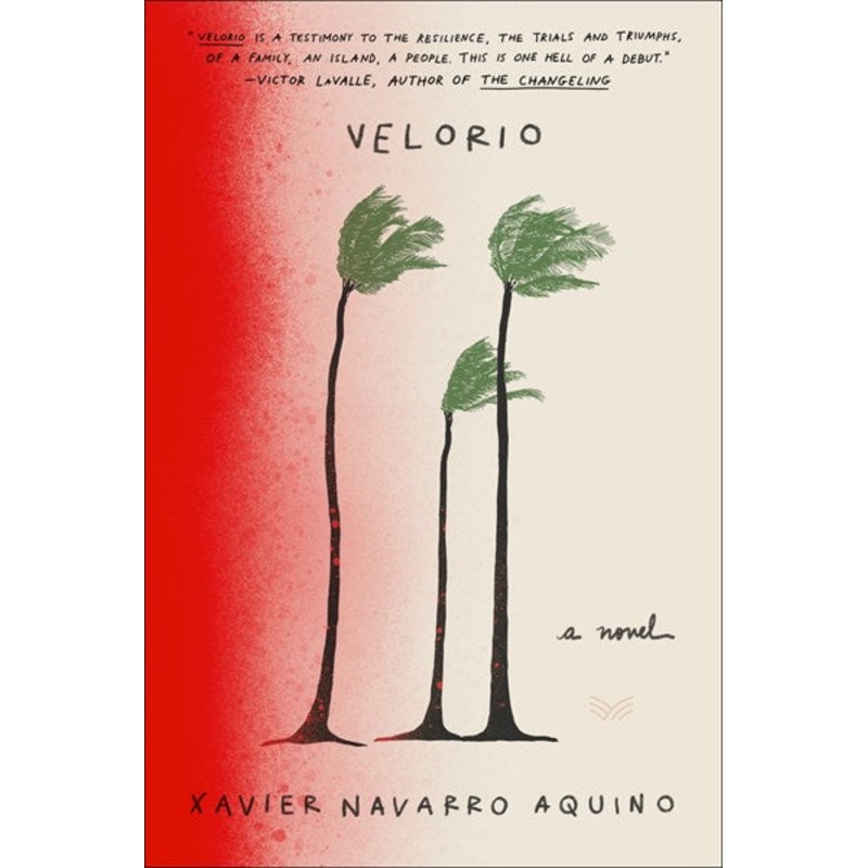 Velorio : A Novel