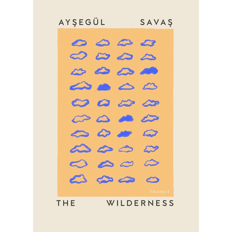 The Wilderness