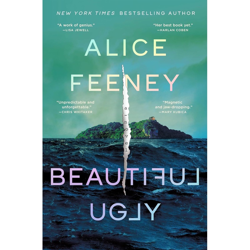 Beautiful Ugly: A Novel Hardcover