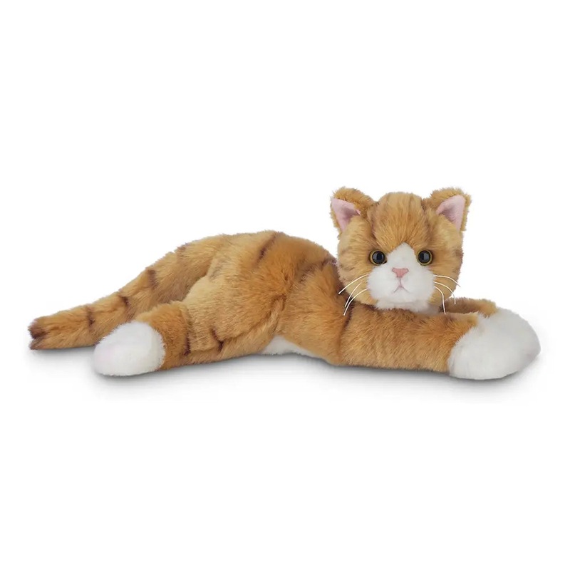 Big Tabby the Orange Cat