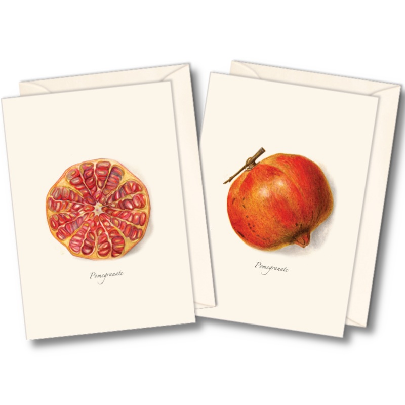 Pomegranate