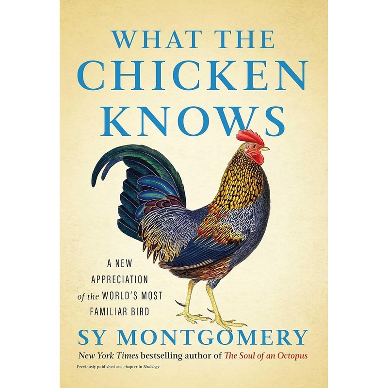What the Chicken Knows: A New Appreciation of the World’s Most Familiar Bird by Sy Montgomery