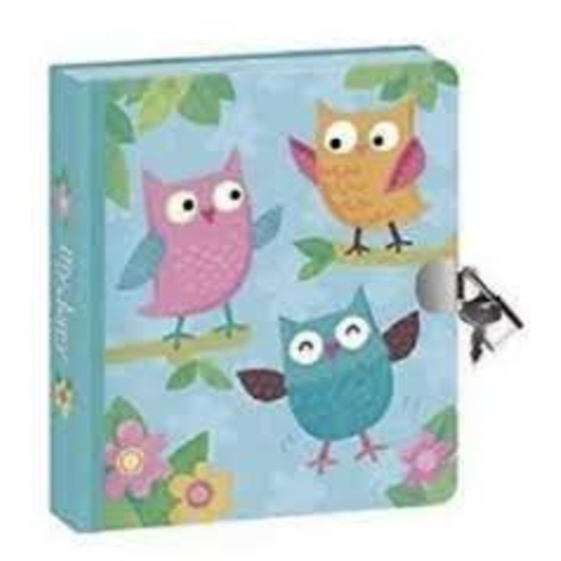 Sweet Owl Friend Lock & Key Diary