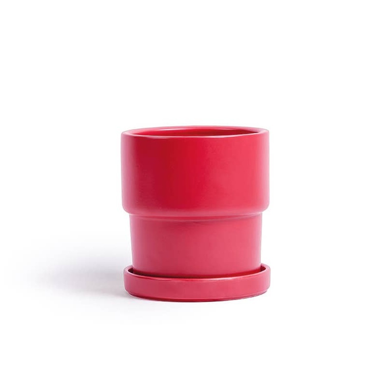 Watermelon 4.5″ Calyx Pots Watermelon