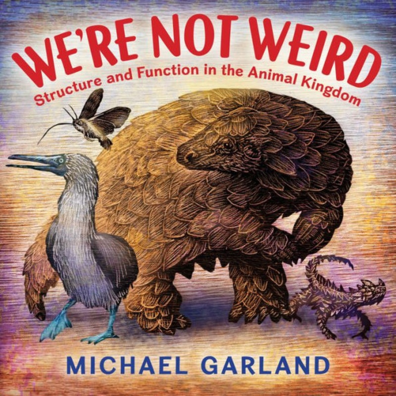 We’re Not Weird: Structure and Function in the Animal Kingdom Hardcover
