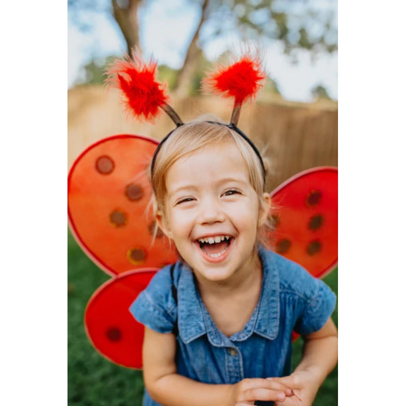 Ladybug Wings & Headband