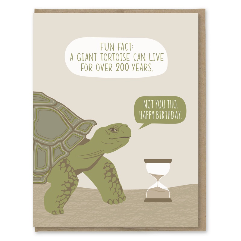 Modern Printed Matter – Tortoise Fact Funny Birthday Card