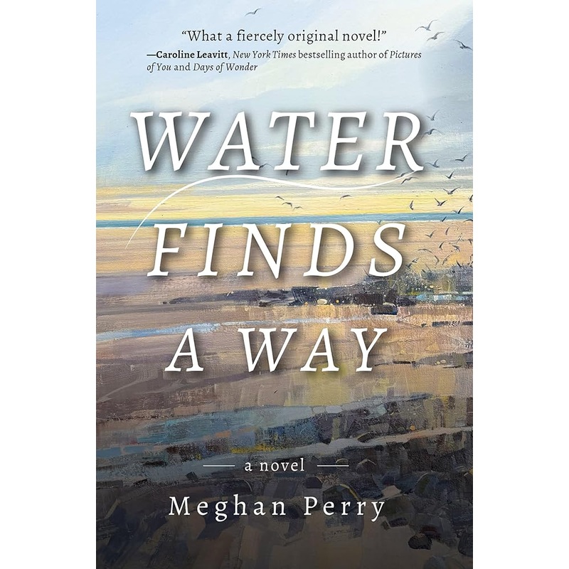 Water Finds a Way a novel