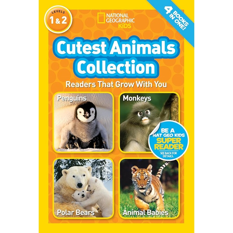 Cutest Animals Collection