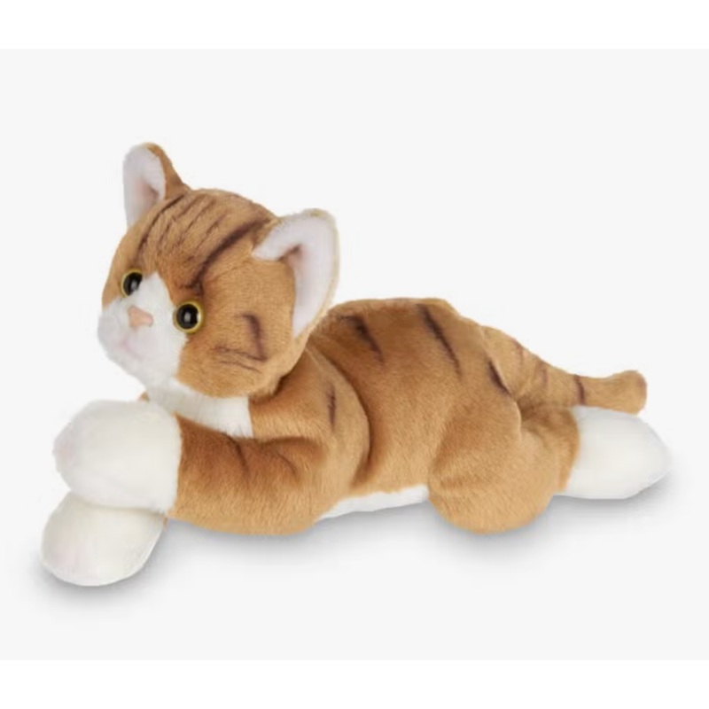 Lil’ Tabby the Orange Cat