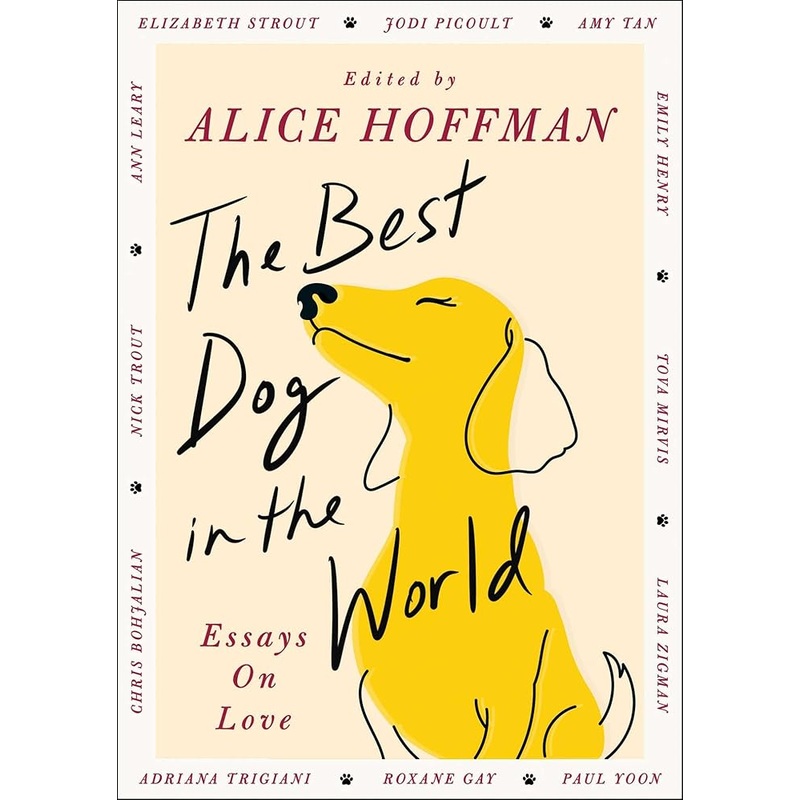 The Best Dog in the World: Essays on Love