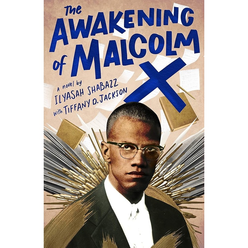 The Awakening of Malcolm X: A Novel