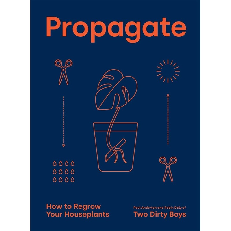 Propagate: How to Regrow your Houseplants